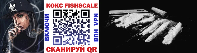 Кокаин FishScale  купить наркотики сайты  Ельня 