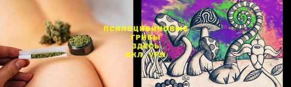 не бодяженный Володарск