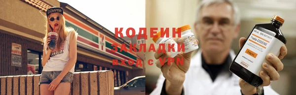 дживик Долгопрудный
