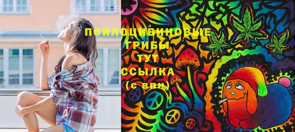 мет Вяземский