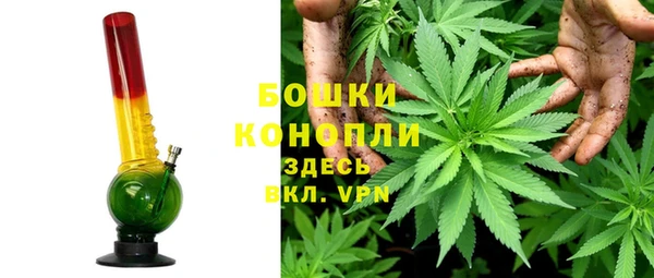 дживик Долгопрудный