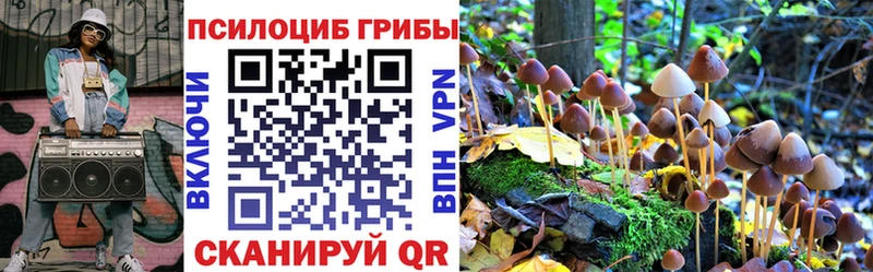 Галлюциногенные грибы мухоморы  цены   ссылка на мегу ТОР  Ельня 